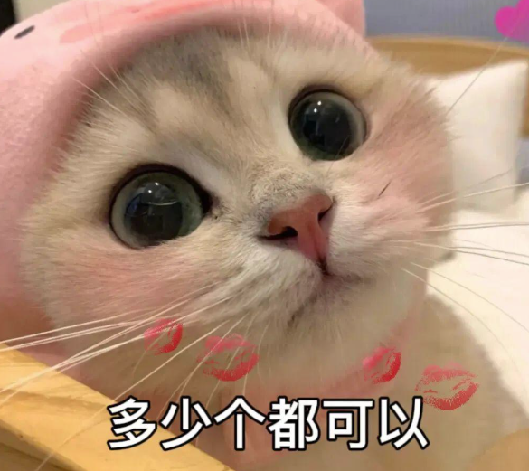 网盘网速慢的话 可以开下梯子  接受不了可以联系客服退掉qwq-春日ACG