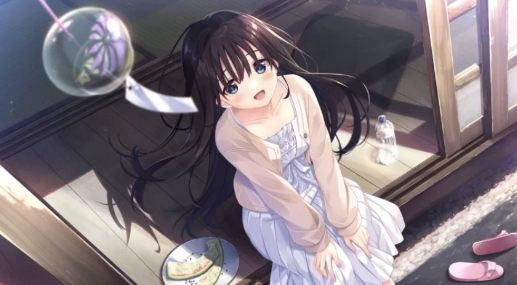 图片[6]-【神作SLG/动态/官中/CV/互动/骨科】痴情哥哥与病弱妹妹的乡间生活Append.01-04 安卓盖世+PC-春日ACG