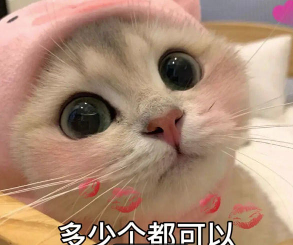 最近太忙啦 从早忙到晚 大家理解下哦qwq-春日ACG